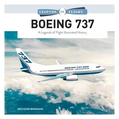 Boeing 737 - Borgmann, Wolfgang