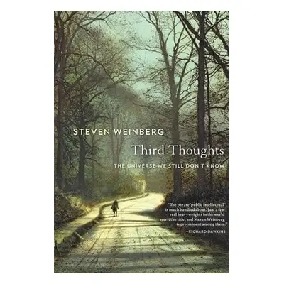 Third Thoughts - Weinberg, Steven