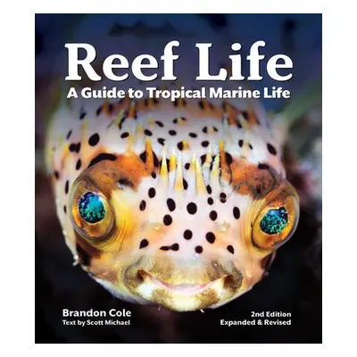 Reef Life - Scott, Michael