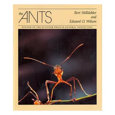 Ants - Holldobler, Bert a Wilson, Edward O.