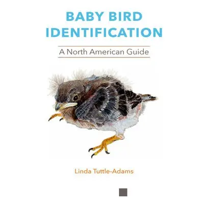 Baby Bird Identification - Tuttle-Adams, Linda