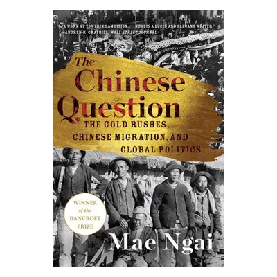 Chinese Question - Ngai, Mae (Columbia University)