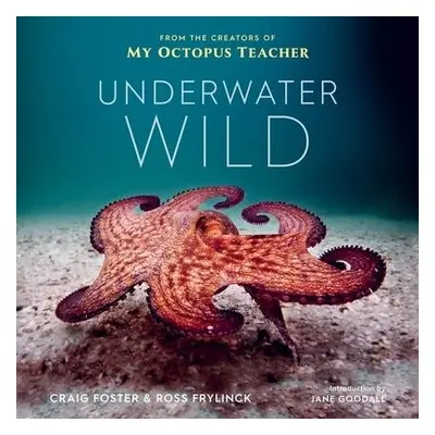 Underwater Wild - Foster, Craig a Frylinck, Ross