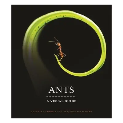 Ants - Campbell, Heather a Blanchard, Benjamin