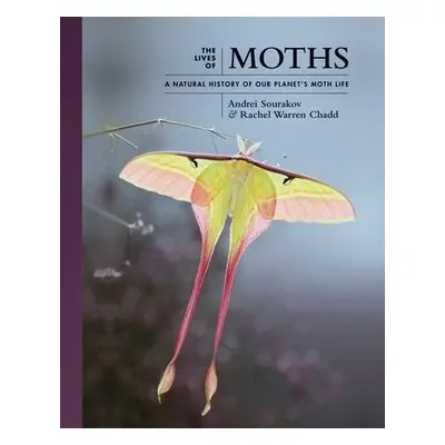 Lives of Moths - Sourakov, Andrei a Chadd, Rachel Warren