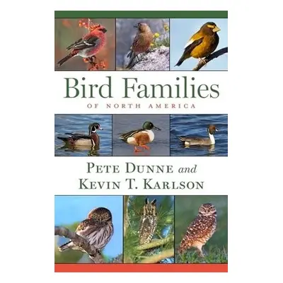 Bird Families Of North America - Dunne, Pete a Karlson, Kevin T.