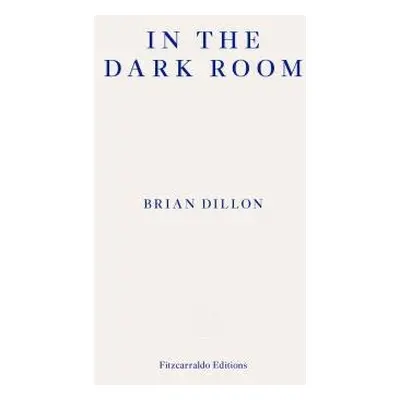 In the Dark Room - Dillon, Brian