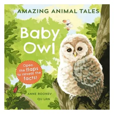 Amazing Animal Tales: Baby Owl - Rooney, Anne