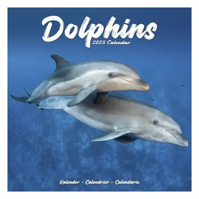 Dolphins Calendar 2025 Square Animal Wall Calendar - 16 Month