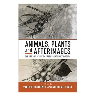 Animals, Plants and Afterimages