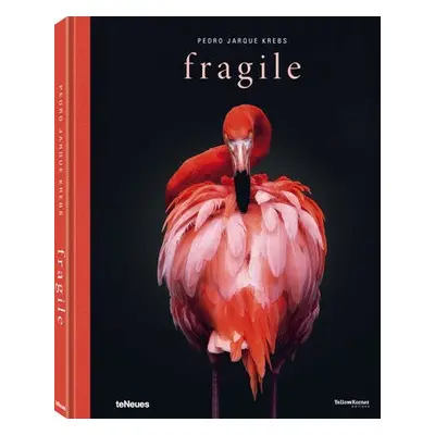 Fragile - Jarque Krebs, Pedro