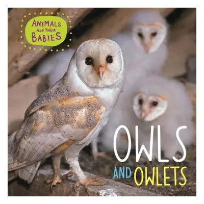 Animals and their Babies: Owls a Owlets - Lynch, Annabelle