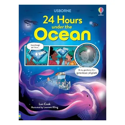 24 Hours Under the Ocean - Cook, Lan