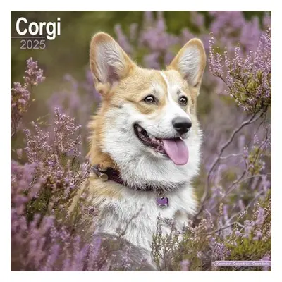 Corgi Calendar 2025 Square Dog Breed Wall Calendar - 16 Month