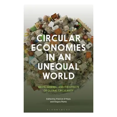 Circular Economies in an Unequal World