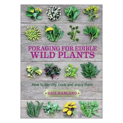 Foraging for Edible Wild Plants - Harland, Gail