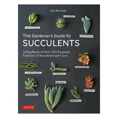 Gardener's Guide to Succulents - Matsuyama, Misa