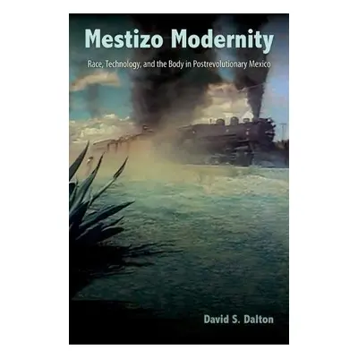 Mestizo Modernity - Dalton, David S.