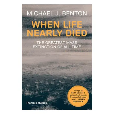 When Life Nearly Died - Benton, Michael J.