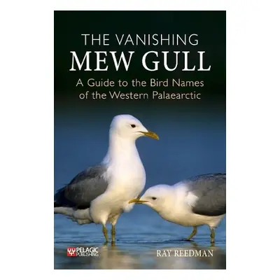 Vanishing Mew Gull - Reedman, Ray