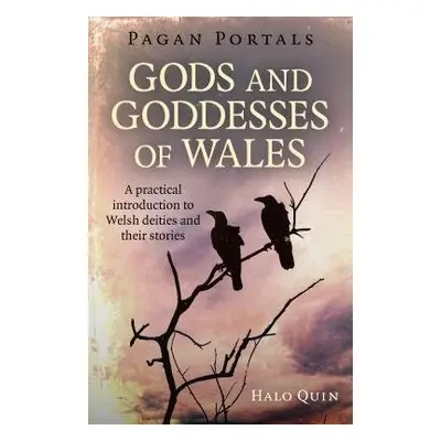 Pagan Portals - Gods and Goddesses of Wales - Quin, Halo