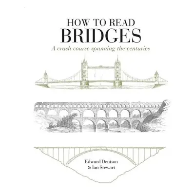 How to Read Bridges - Denison, Edward a Stewart, Ian