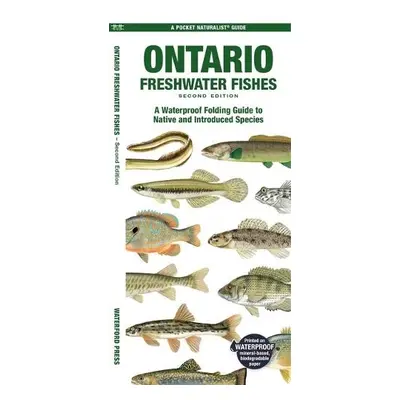 Ontario Freshwater Fishes - Morris, Matthew, Waterford Press