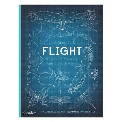 Book of Flight - Balkan, Gabrielle