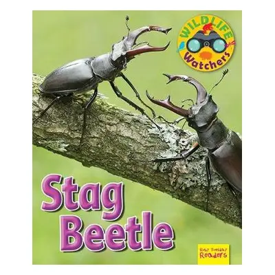 Wildlife Watchers: Stag Beetle - Owen, Ruth