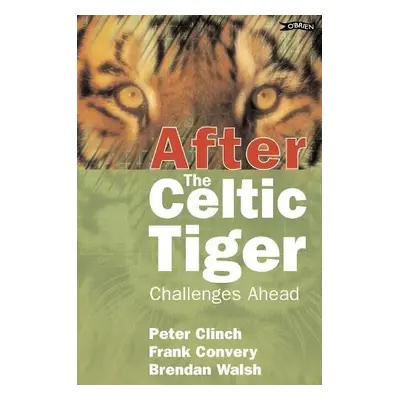 After the Celtic Tiger - Clinch, Peter a Convery, Frank a Walsh, Brendan