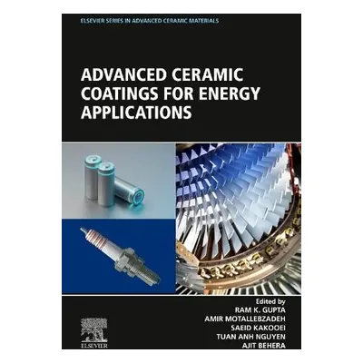 Advanced Ceramic Coatings for Energy Applications