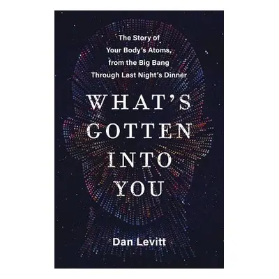 What's Gotten into You - Levitt, Dan