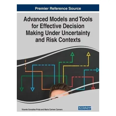 Advanced Models and Tools for Effective Decision Making Under Uncertainty and Risk Contexts