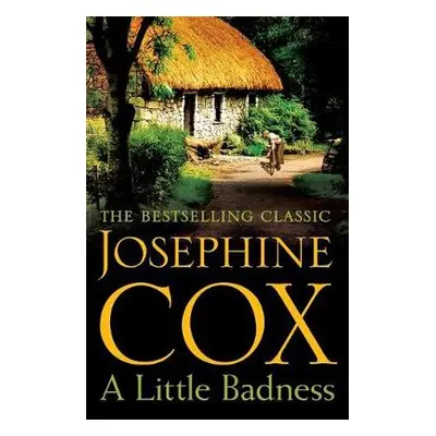 Little Badness - Cox, Josephine