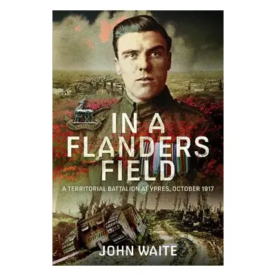 In A Flanders Field - Waite, John