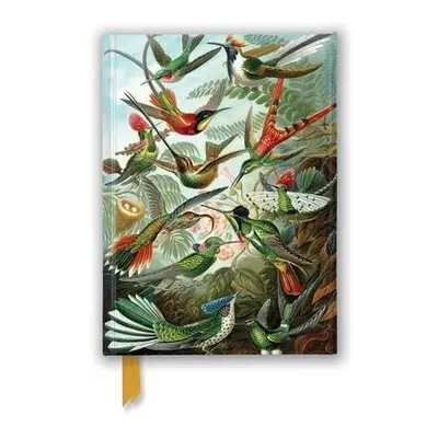 Ernst Haeckel: Hummingbirds (Foiled Journal)