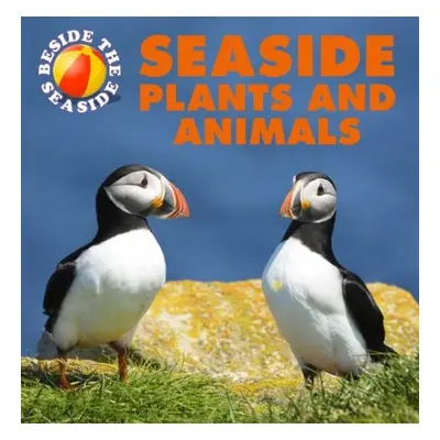 Beside the Seaside: Seaside Plants and Animals - Hibbert, Clare