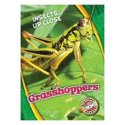 Grasshoppers - Perish, Patrick