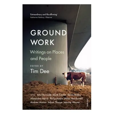 Ground Work - Dee, Tim