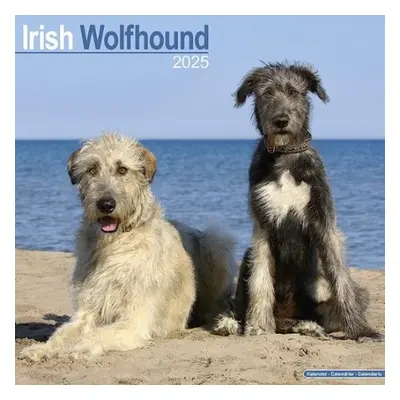 Irish Wolfhound Calendar 2025 Square Dog Breed Wall Calendar - 16 Month