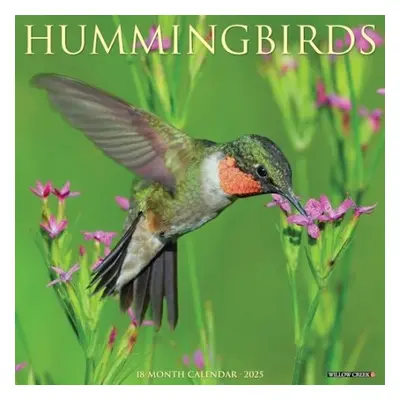 Hummingbirds 2025 12 X 12 Wall Calendar - Willow Creek Press