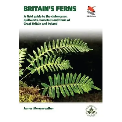 Ferns - Merryweather, James