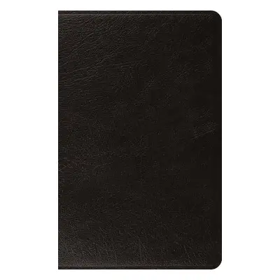 ESV Large Print Thinline Bible