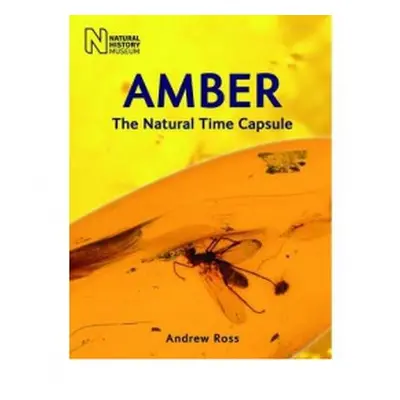 Amber - Ross, Andrew