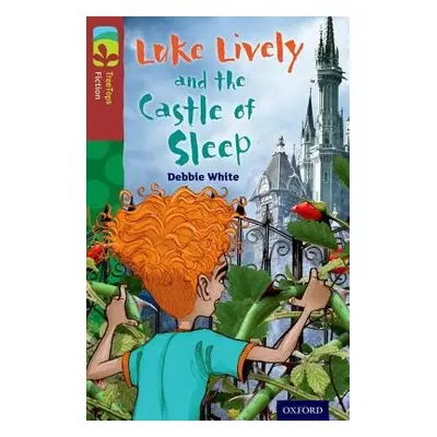 Oxford Reading Tree TreeTops Fiction: Level 15 More Pack A: Luke Lively and the Castle of Sleep 