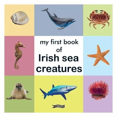 My First Book of Irish Sea Creatures