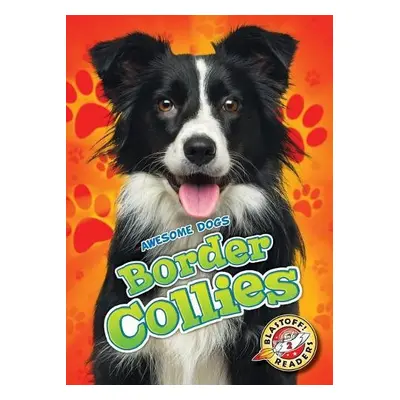 Border Collies - Sabelko, Rebecca