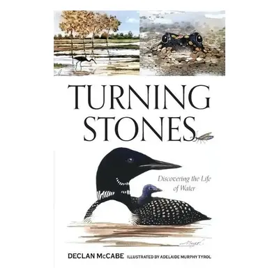 Turning Stones - McCabe, Declan