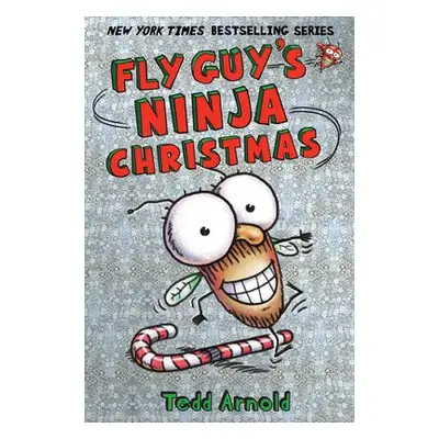 Fly Guy's Ninja Christmas (Fly Guy #16)