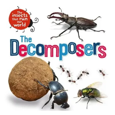 Insects that Run Our World: The Decomposers - Ridley, Sarah